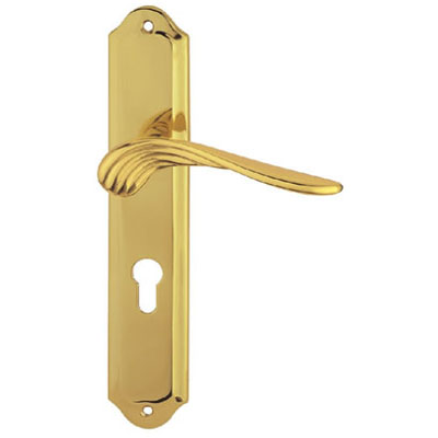 Brass Handle with Plate